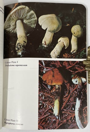 Poisonous & Hallucinogenic Mushrooms