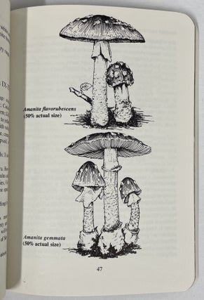Poisonous & Hallucinogenic Mushrooms