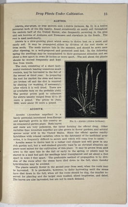 Drug Plants Under Cultivation