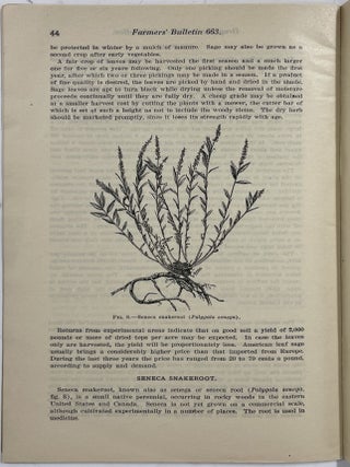 Drug Plants Under Cultivation