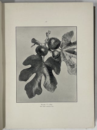 Fruits of the Hawaiian Islands