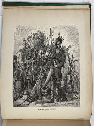 Sub-Tropical Rambles in the Land of The Aphanapteryx